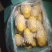 精品库存荷兰十五土豆可根据客户要求加工任何规格