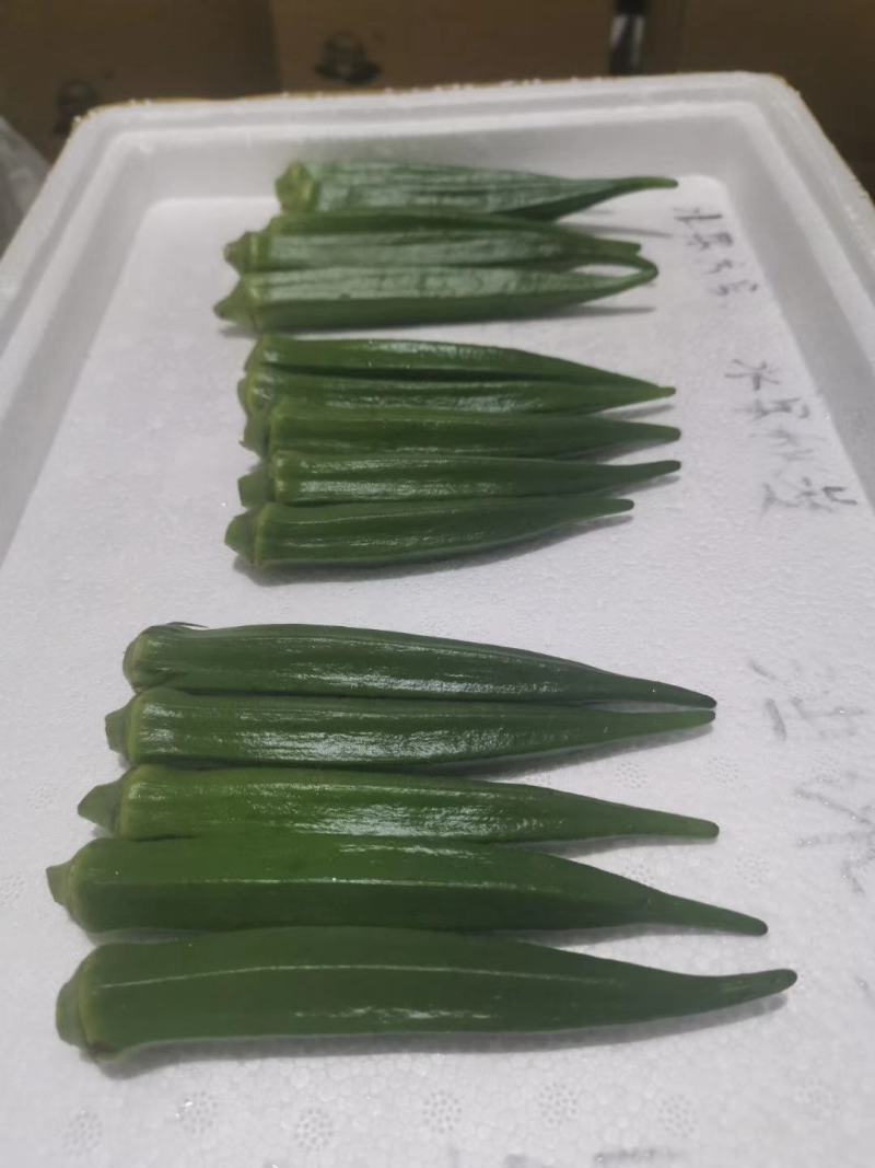 黄秋葵种子粒粒优选秋葵种籽蔬菜基地专用品种