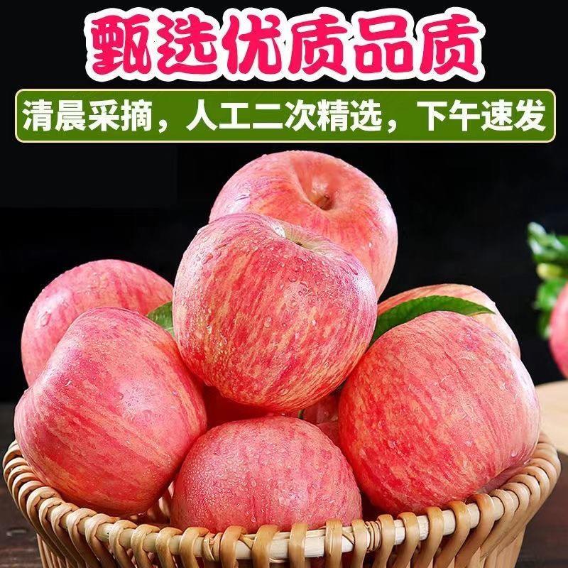 国光苹果老品种酸甜国光苹果纸袋国光特级精品国光高品质