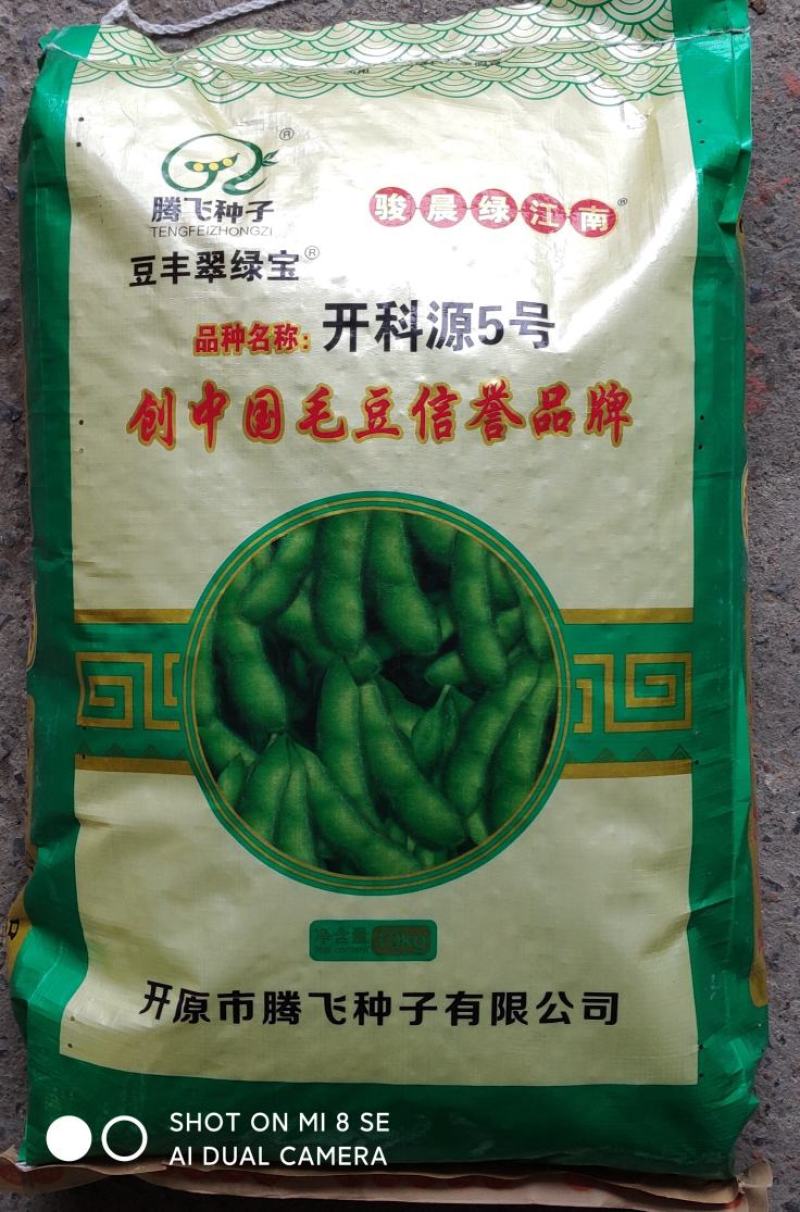 【优选】大荚鲜食毛豆开科源5号，翠绿宝，绿宝石