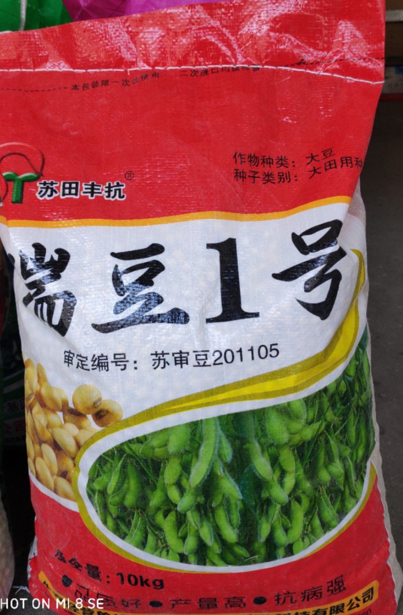 【优选】大荚鲜食毛豆开科源5号，翠绿宝，绿宝石