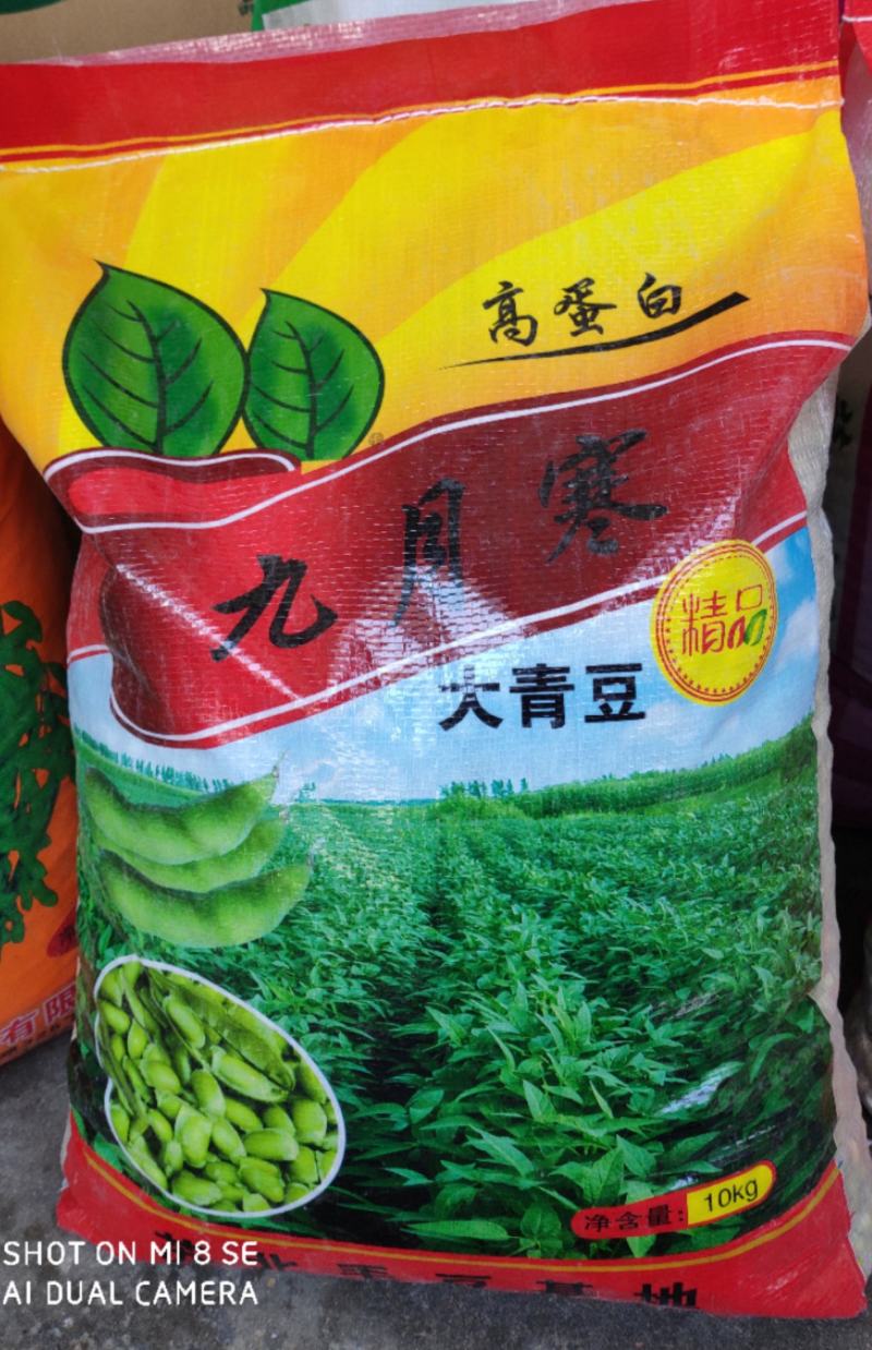 【优选】大荚鲜食毛豆开科源5号，翠绿宝，绿宝石