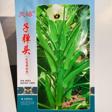 早熟耐老性好无角黄秋葵种子果型长纤维少养生秋葵种子