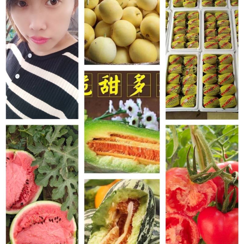 博洋九，博洋61【原产地】供电商市场超市，量大货足！