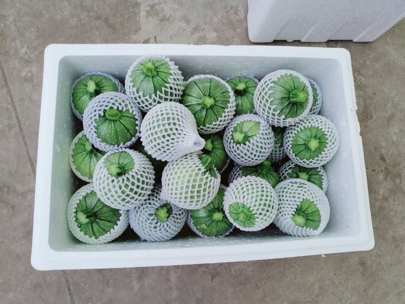 精品南瓜