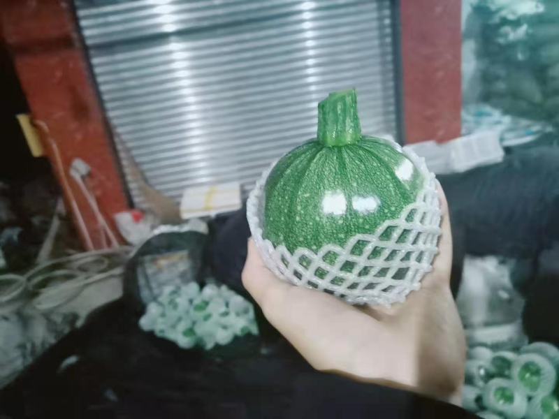 精品南瓜