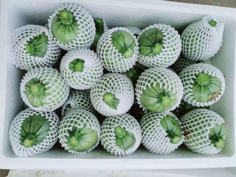 精品南瓜