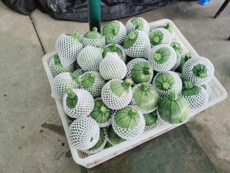 精品南瓜