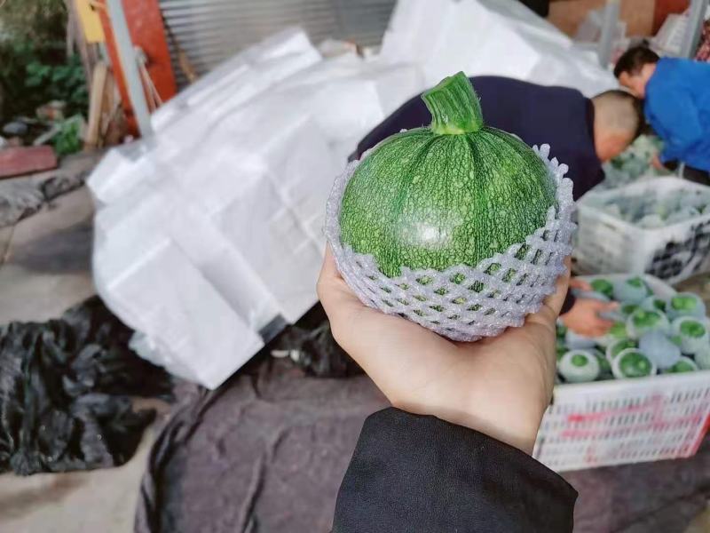精品南瓜