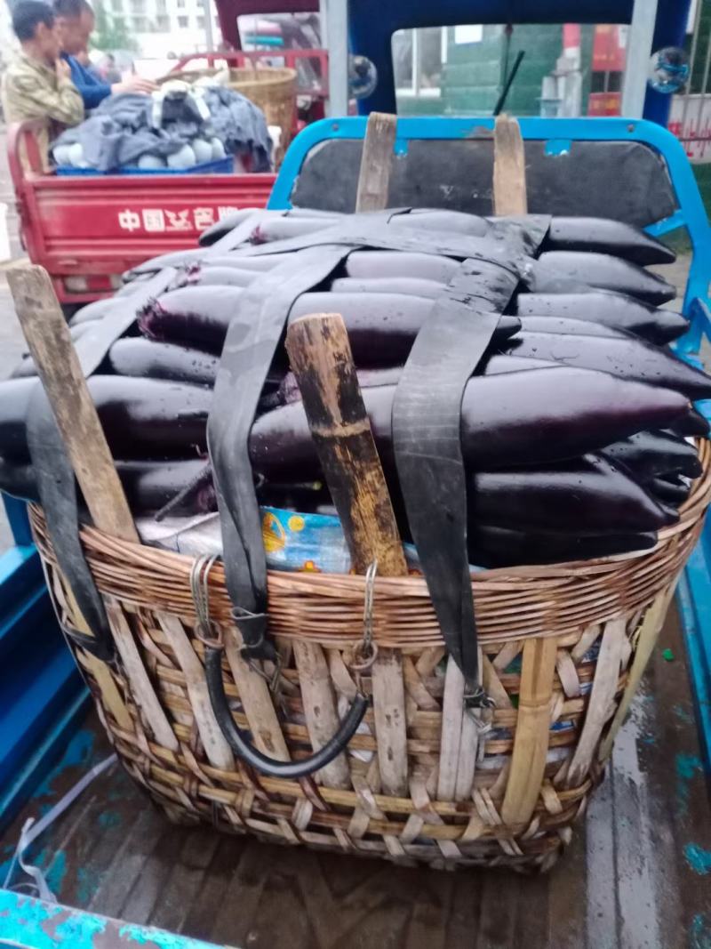 精品南瓜