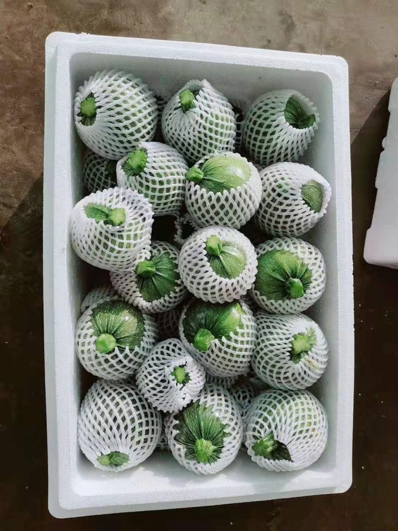 精品南瓜
