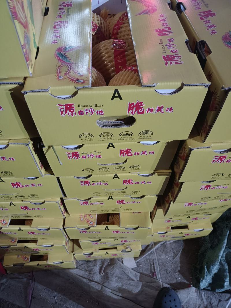 海南金香玉黄金蜜瓜大量现货，可供市场，商超！
