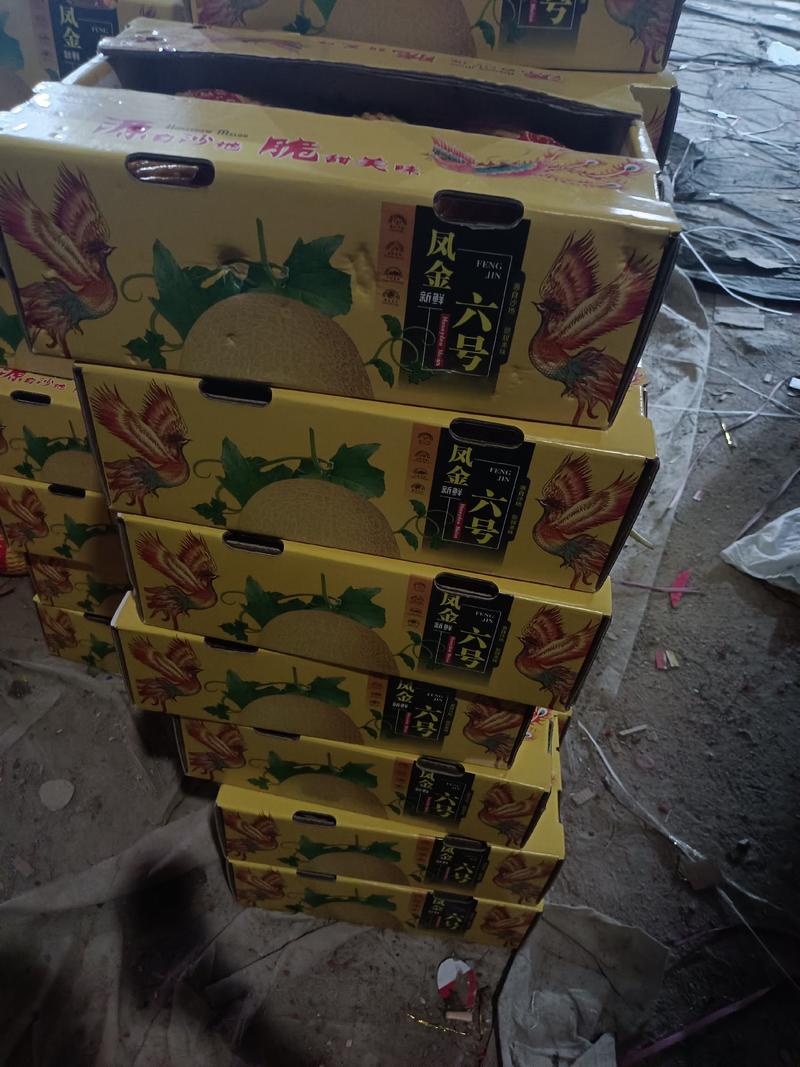 海南金香玉黄金蜜瓜大量现货，可供市场，商超！