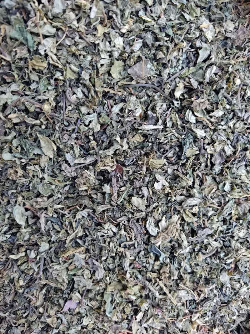 云南文山特级三七叶