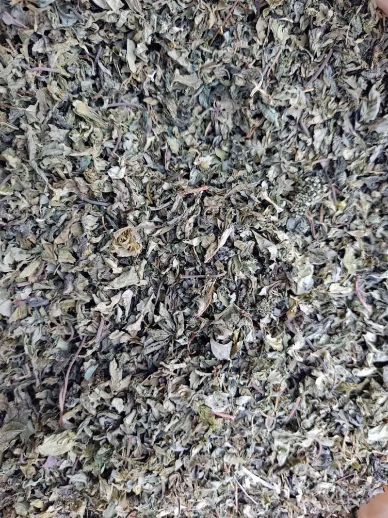 云南文山特级三七叶