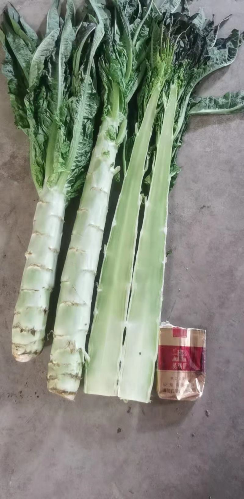 红叶莴笋莴笋杆产地直供一手货源代发全国