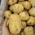 土豆种薯黄皮黄心大量直供全国希森，沃土5，实验