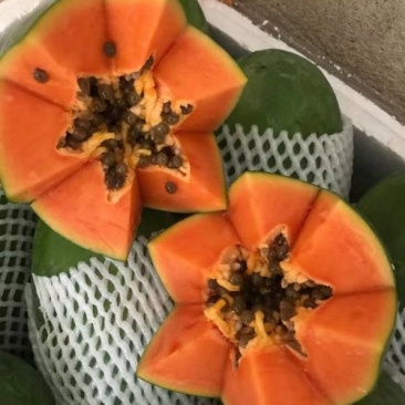 广东大青水果红心木瓜，肉质脆甜，表皮光滑，口感好产地供货