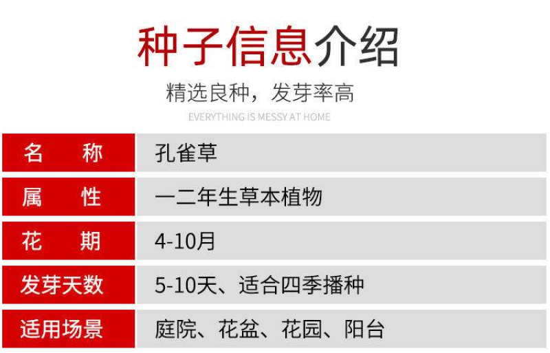 孔雀草种子耐寒花卉重瓣花种子庭院室外景观花卉四季易种