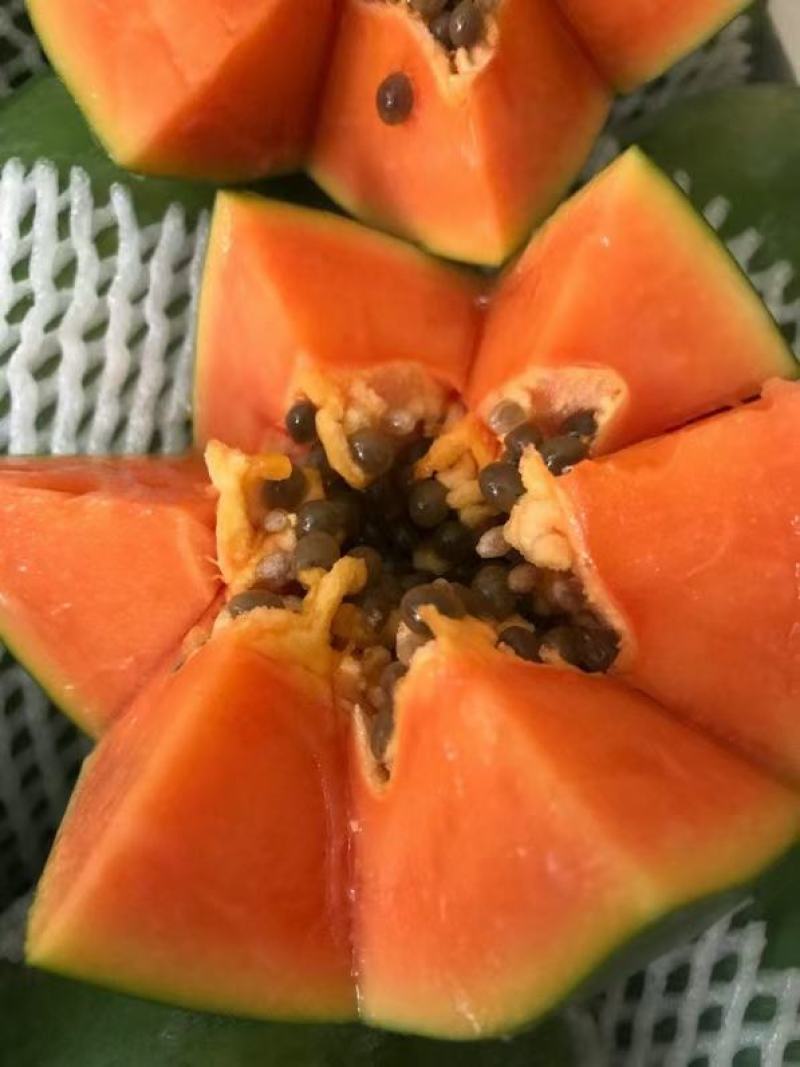 广东大青水果红心木瓜，肉质脆甜，表皮光滑，口感好产地供货