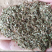 【热卖】常年出售:花生秧草粉，鸵鸟，鸭，兔，专用草粉饲料