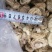 双孢菇干品，日产十吨到15吨，质量好，规格按客户需求加工
