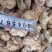 双孢菇干品，日产十吨到15吨，质量好，规格按客户需求加工