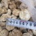 双孢菇干品，日产十吨到15吨，质量好，规格按客户需求加工