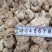 双孢菇干品，日产十吨到15吨，质量好，规格按客户需求加工