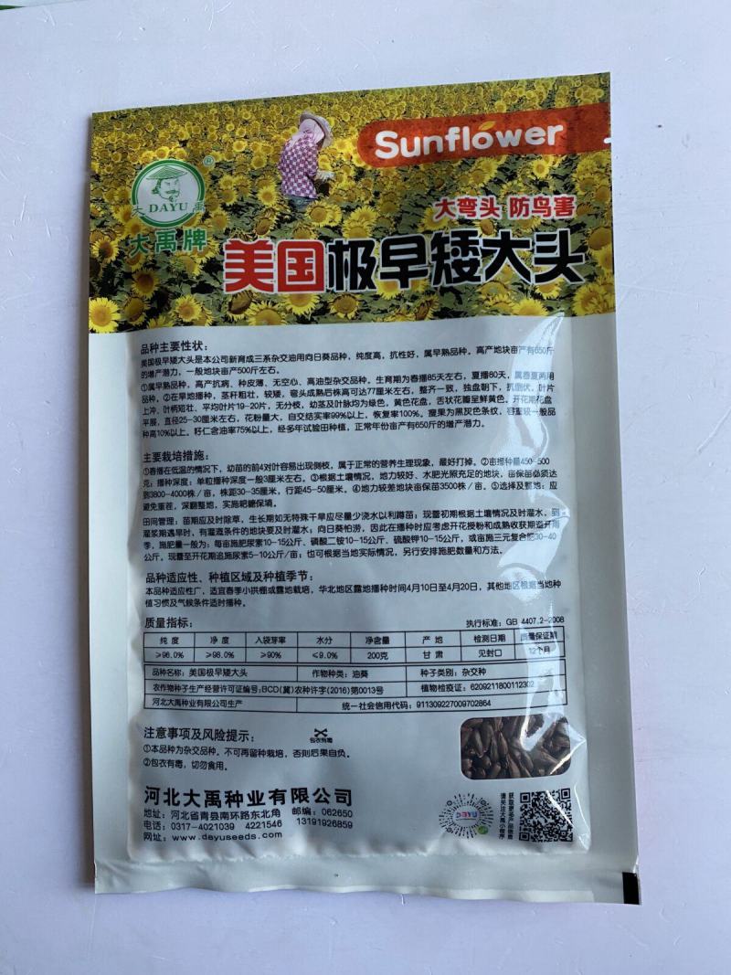 美国**矮大头油王**油葵种子批发高产榨油向日葵油葵籽满