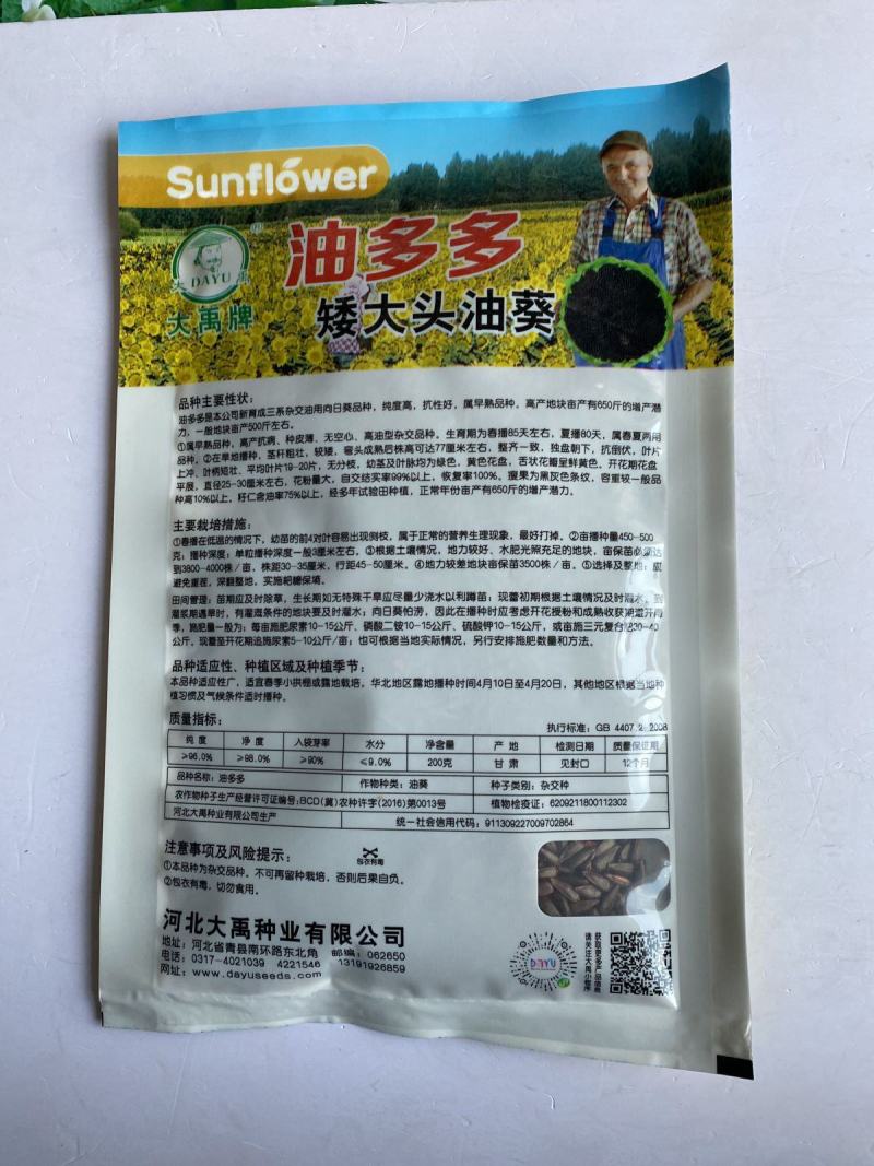 美国**矮大头油王**油葵种子批发高产榨油向日葵油葵籽满