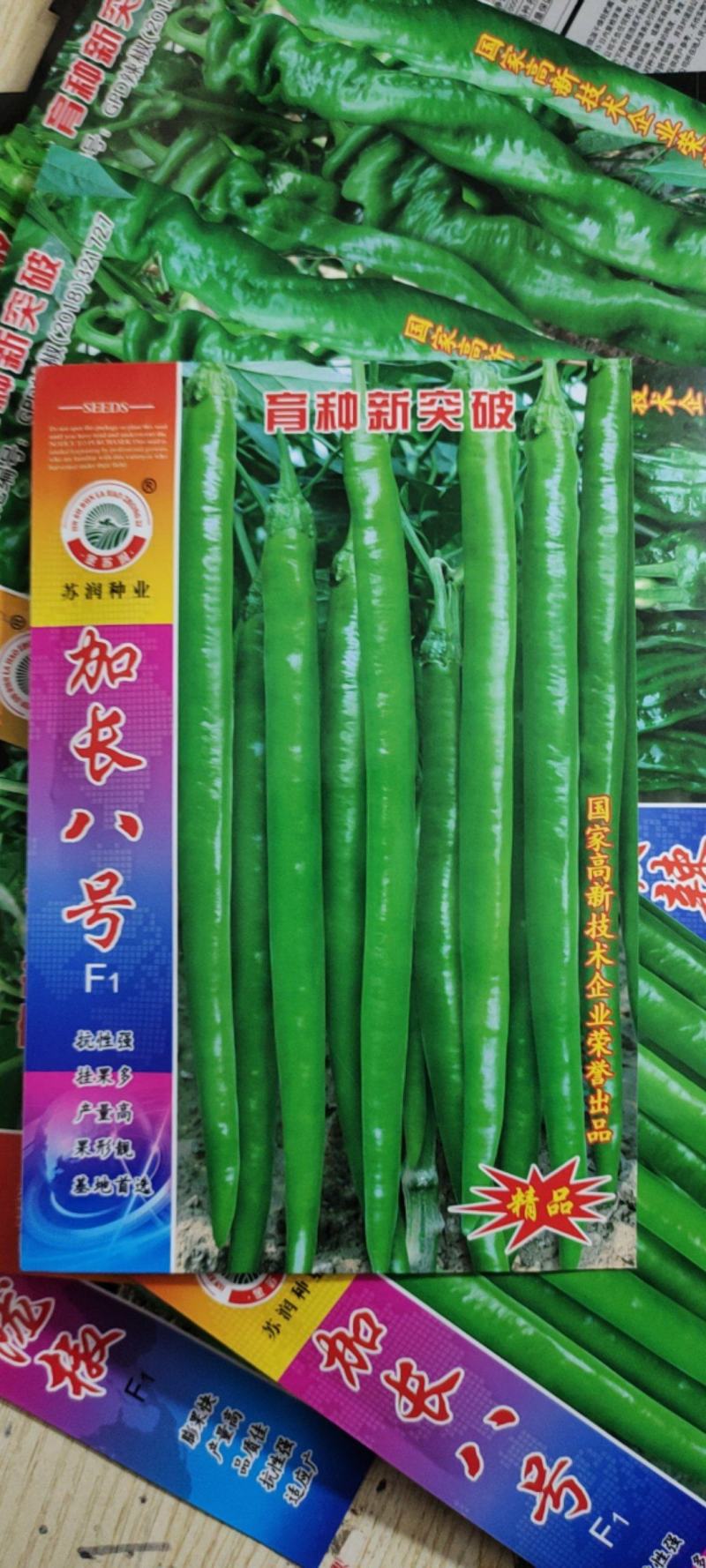 加长八号辣椒种子，抗性强，产量高，加长八号辣椒种子