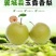 《玉露香梨》现已上市大量批发、产地直供、诚信合作