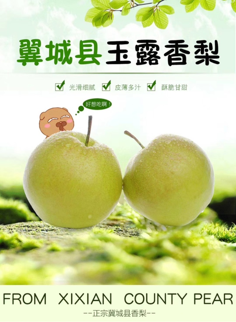 《玉露香梨》现已上市大量批发、产地直供、诚信合作