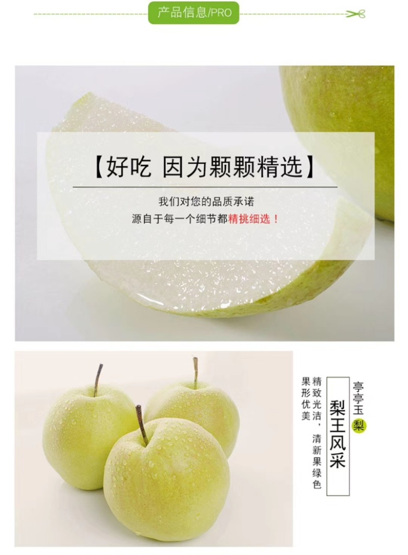 《玉露香梨》现已上市大量批发、产地直供、诚信合作