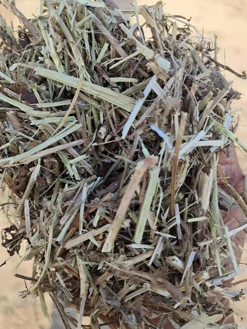 【牛商优选】常年出售:花生秧草，段，牛羊马驴草动物饲料