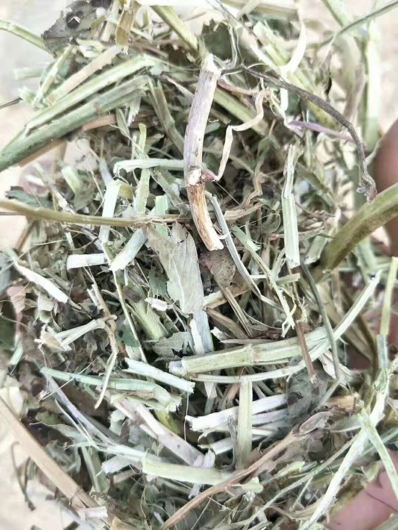 【牛商优选】常年出售:花生秧草，段，牛羊马驴草动物饲料