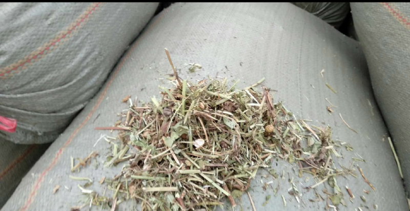 【牛商优选】常年出售:花生秧草，段，牛羊马驴草动物饲料