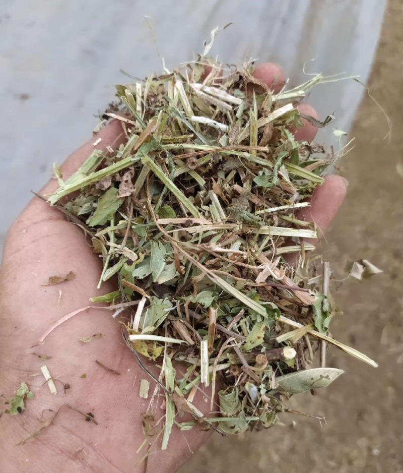 【牛商优选】常年出售:花生秧草，段，牛羊马驴草动物饲料