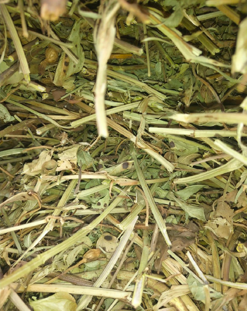 【牛商优选】常年出售:花生秧草，段，牛羊马驴草动物饲料