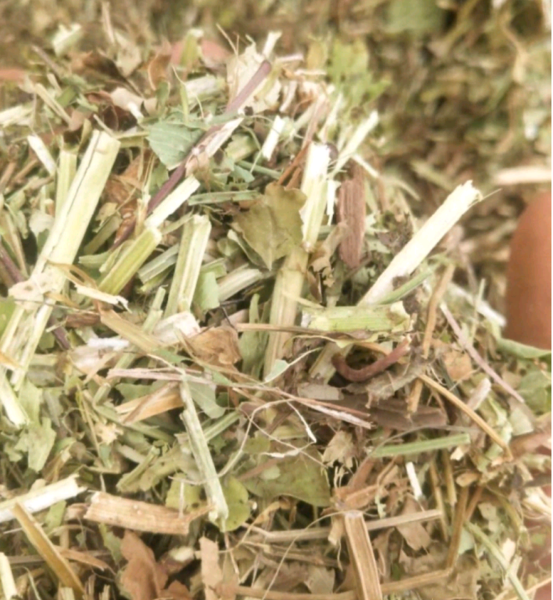 【牛商优选】常年出售:花生秧草，段，牛羊马驴草动物饲料