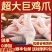 【顺丰包邮】超大多肉巨鸡爪散养土鸡爪巨大凤爪肉鸡爪送
