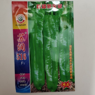 苏润516辣椒种子产量高果型靓，基地专用辣椒种子牛角椒