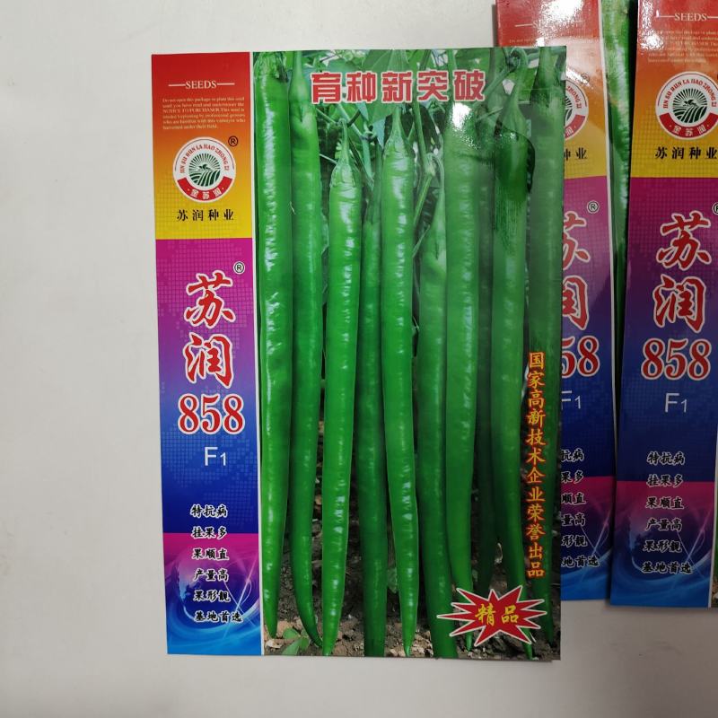 苏润858辣椒种子，抗病挂果多，果顺直，产量高，果型靓