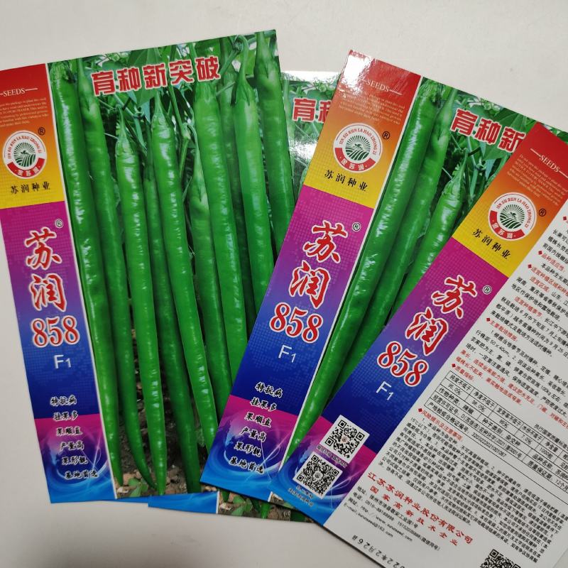 苏润858辣椒种子，抗病挂果多，果顺直，产量高，果型靓