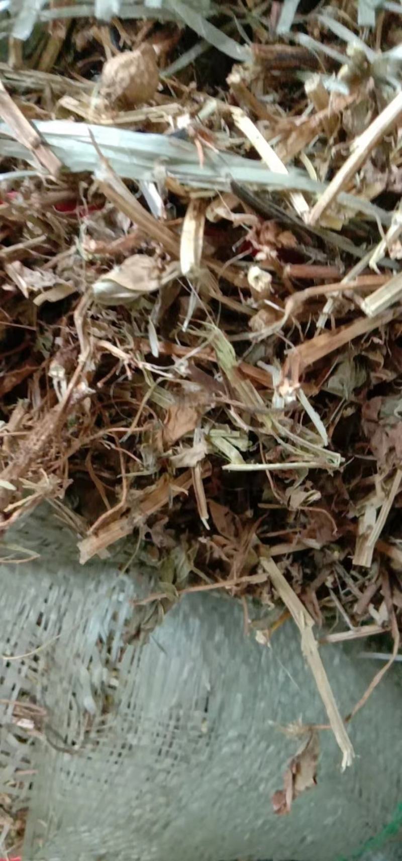 长期批发优质牛羊饲料花生秧牛羊饲料花生秧，无土无膜，