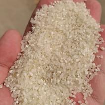 大中小碎米