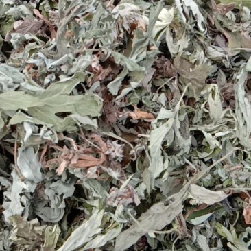 艾叶艾草干艾叶，中草药批发干净无杂质量大从优产地