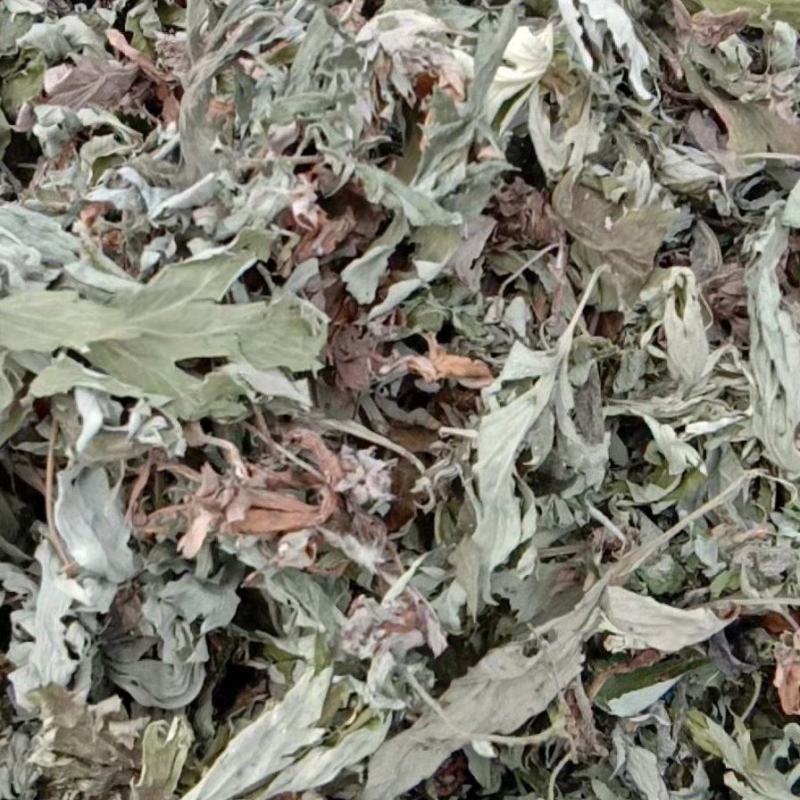 艾叶艾草干艾叶，中草药批发干净无杂质量大从优产地