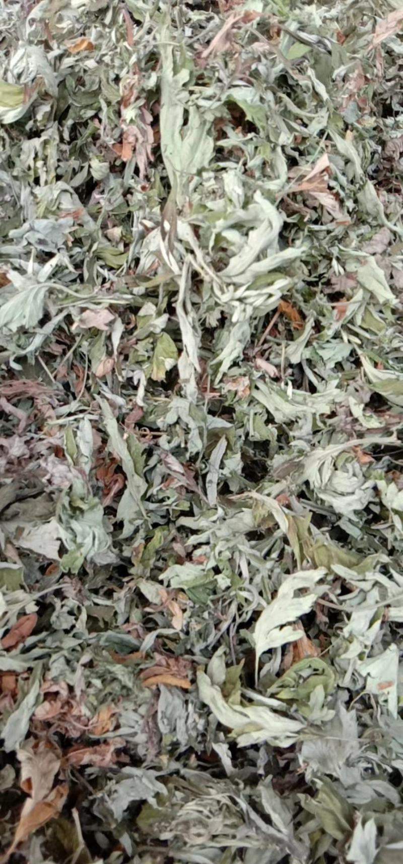 艾叶艾草干艾叶，中草药批发干净无杂质量大从优产地